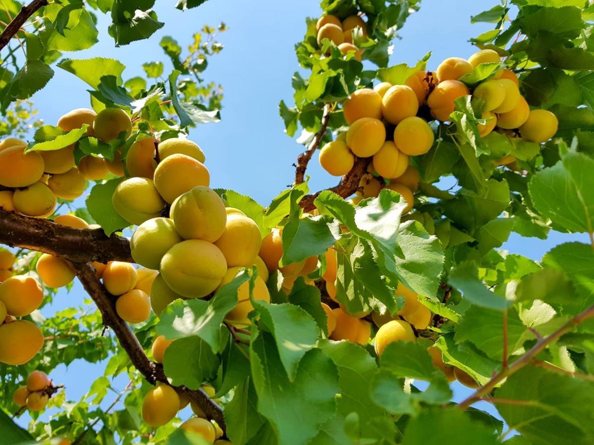 מלון The Orchard At אוליבר מראה חיצוני תמונה